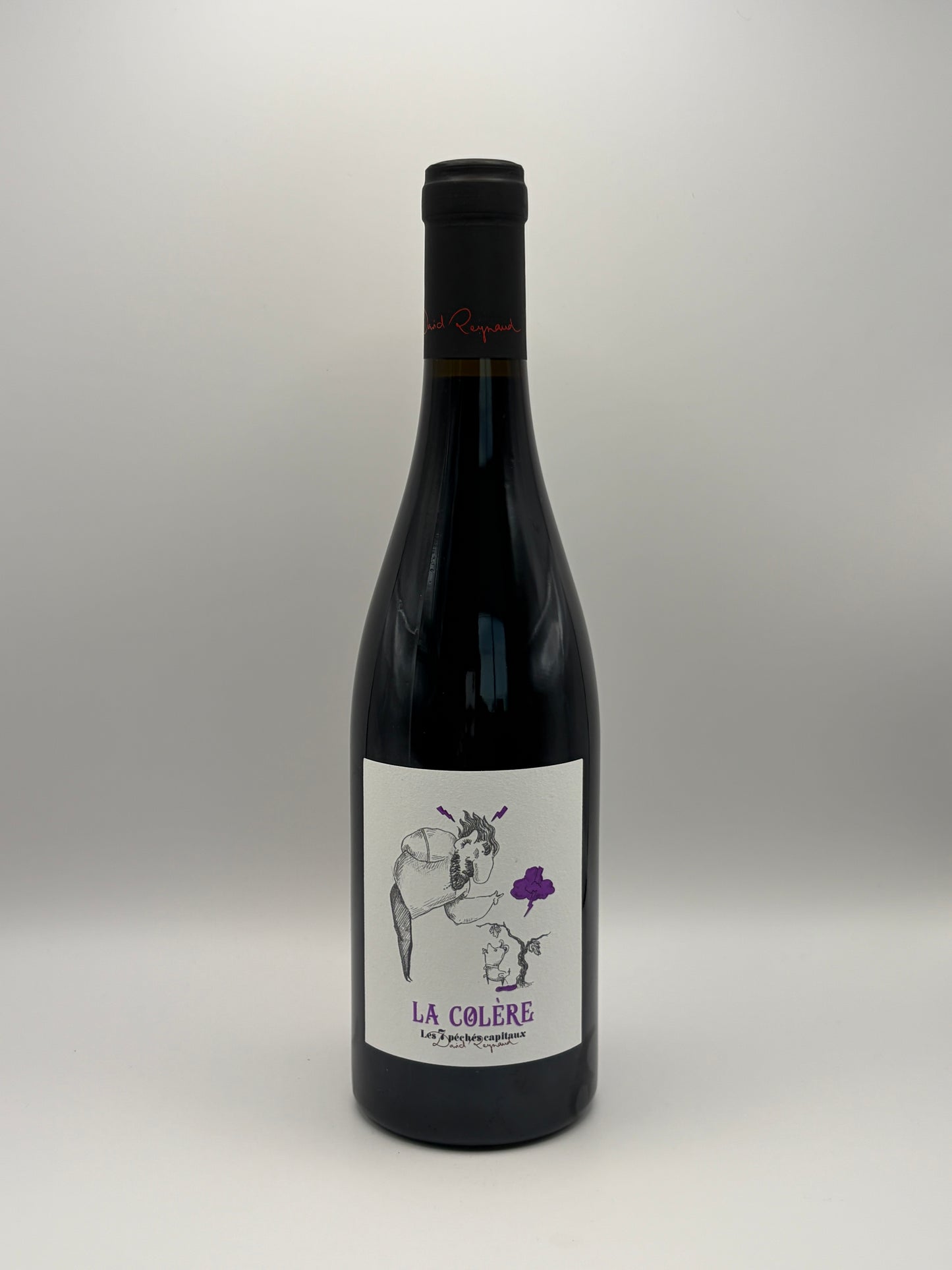 Vin de France "La Colère" Rouge - David Reynaud - 2025 - 75cl