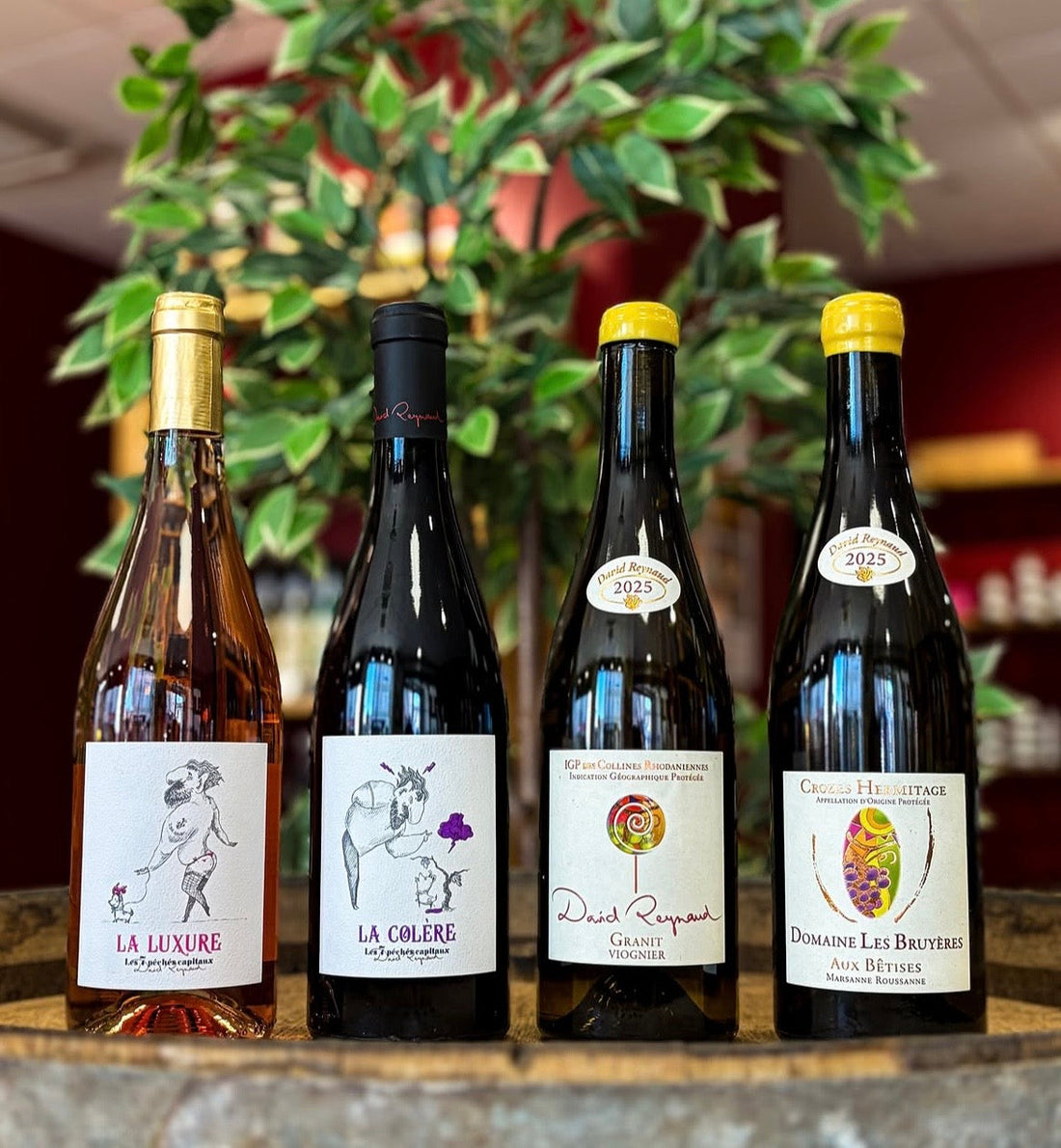 David Reynaud et le Domaine Les Bruyères : une référence au cœur du Rhône