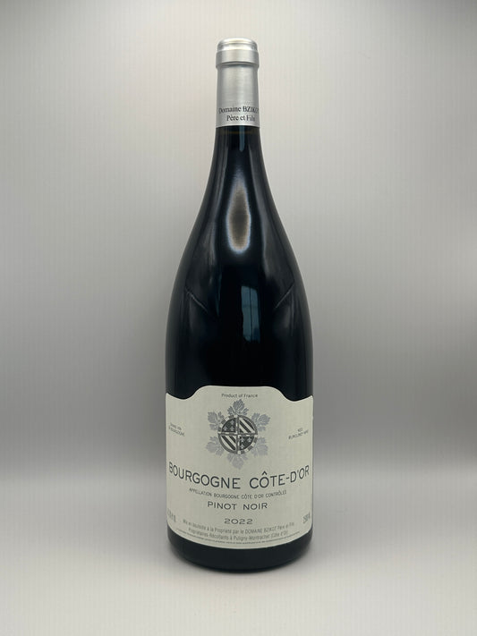 Bourgogne Côte d'Or Pinot Noir - Bzikot Père et Fils